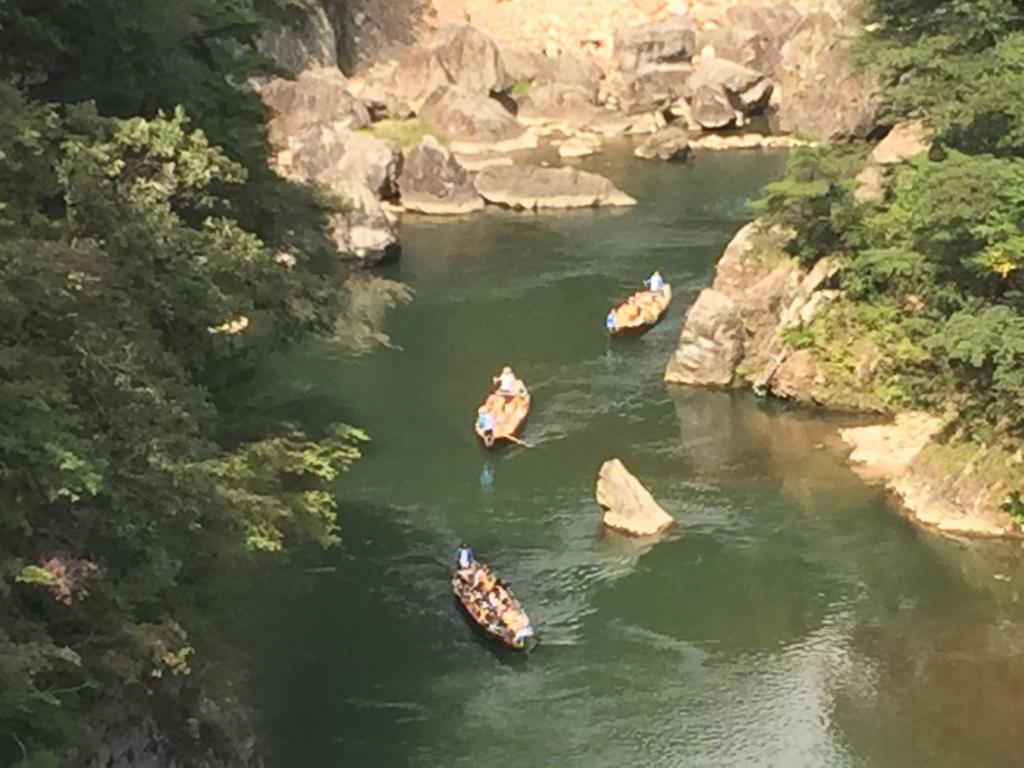 Vergrößerte Ansicht
