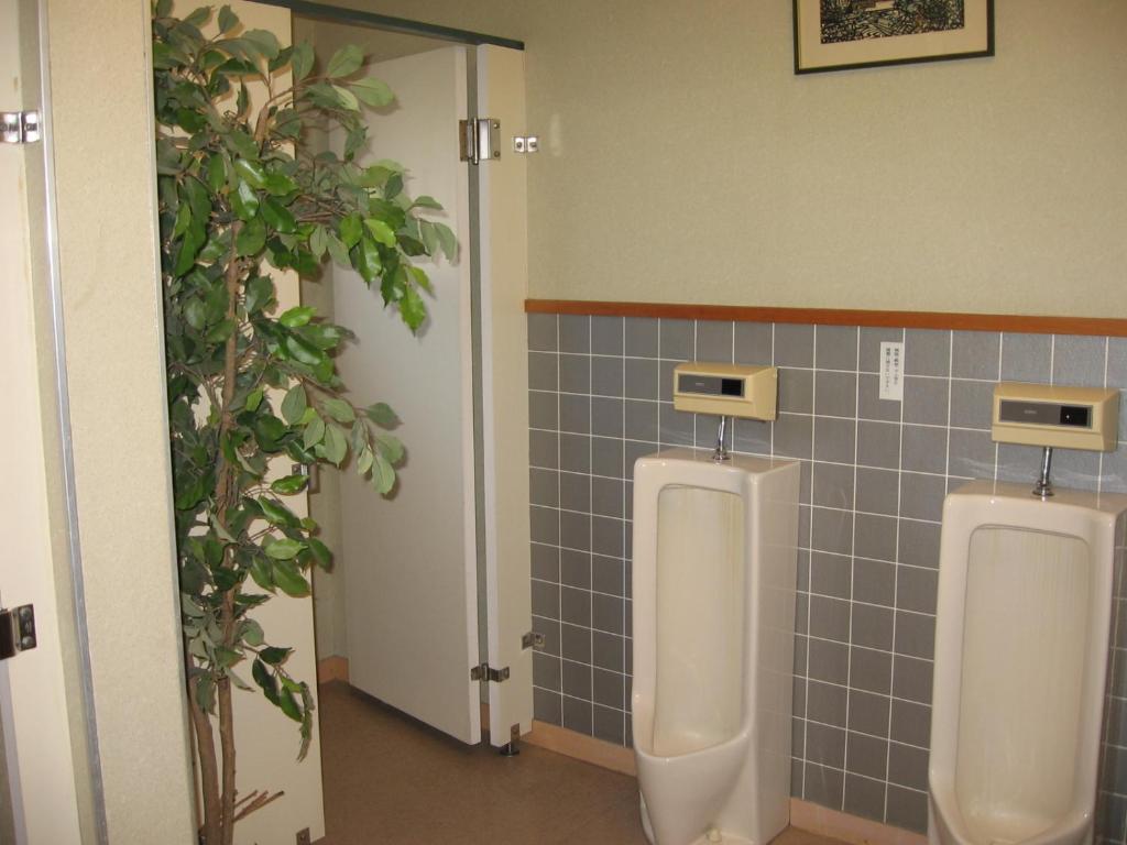 Vergrößerte Ansicht